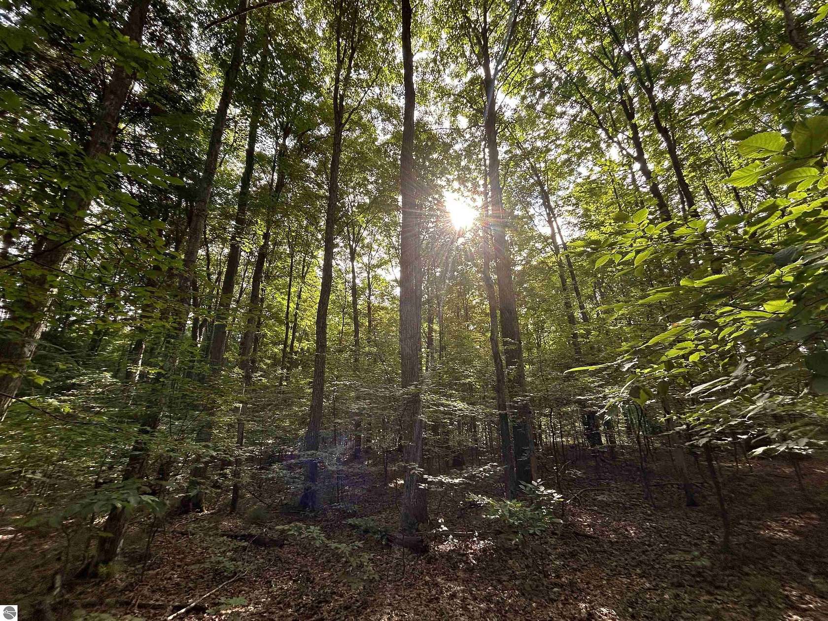 10.1 Acres of Land for Sale in Interlochen, Michigan