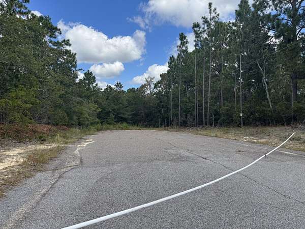 45.6 Acres of Land for Sale in Aiken, South Carolina