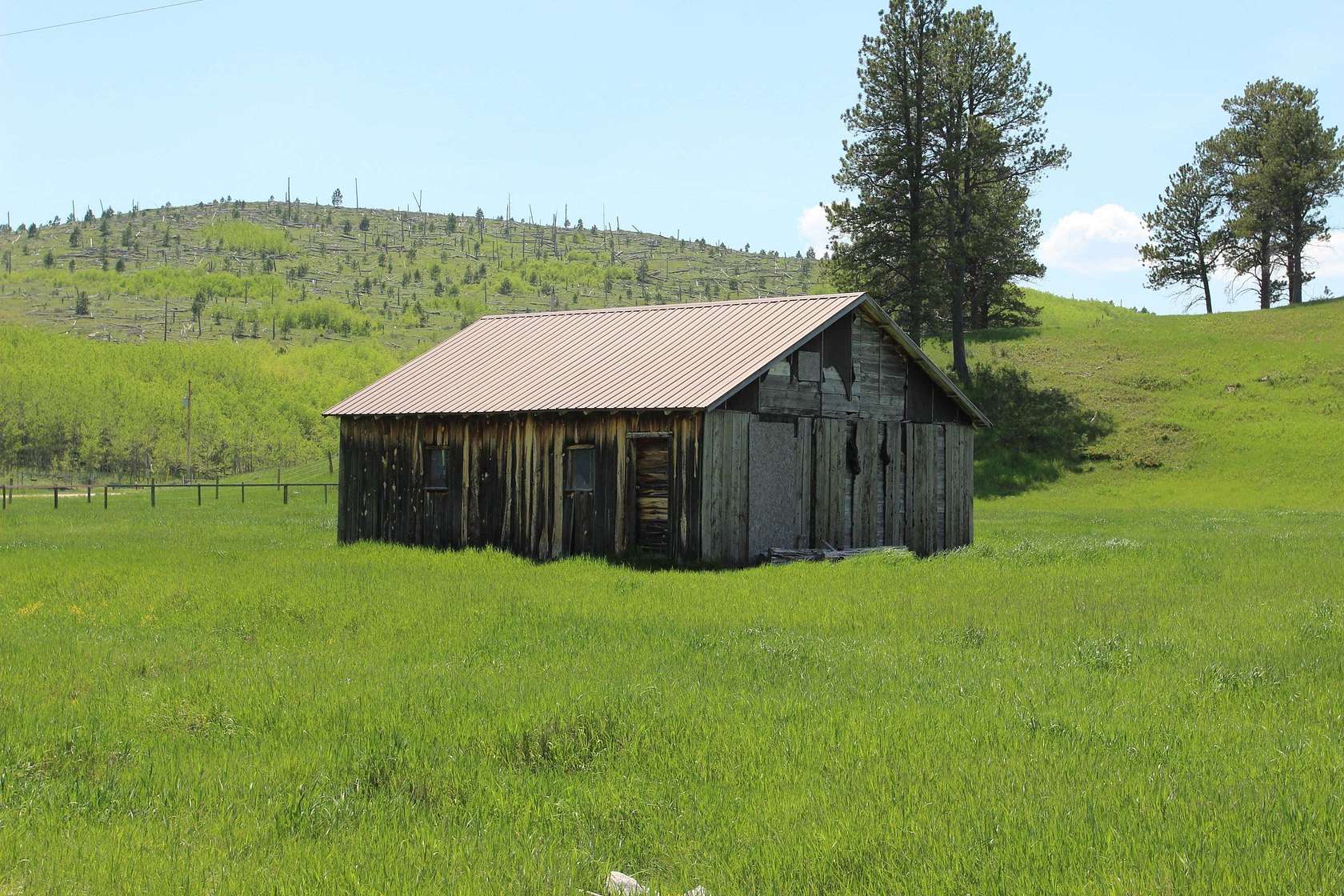 180 Acres of Recreational & Residential Land for Sale in Custer, South Dakota