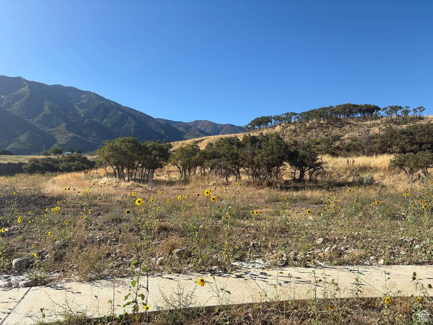 1.29 Acres of Residential Land for Sale in Salem, Utah