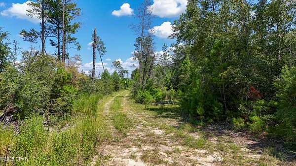 20 Acres of Recreational Land for Sale in Fountain, Florida