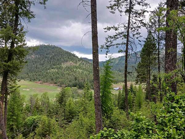 20 Acres of Recreational Land for Sale in Gifford, Washington