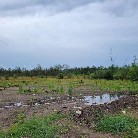 40 Acres of Recreational Land for Sale in Alpena, Michigan