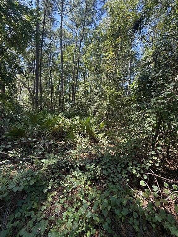 0.55 Acres of Residential Land for Sale in Brunswick, Georgia