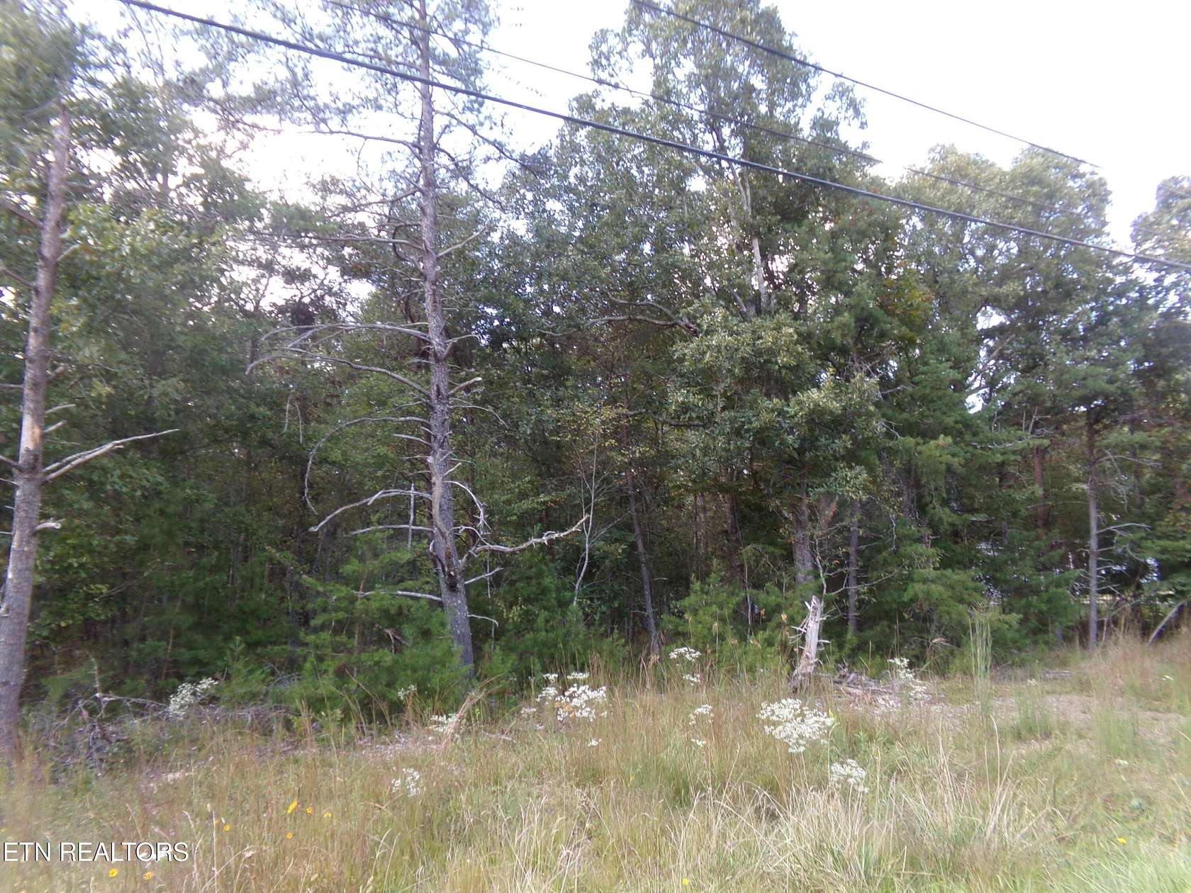1 Acre of Residential Land for Sale in Crossville, Tennessee