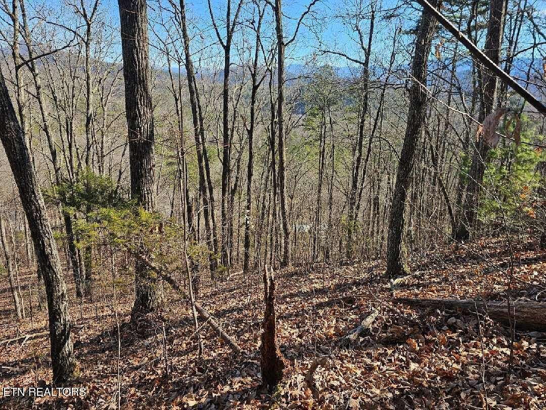20.7 Acres of Land for Sale in Sevierville, Tennessee