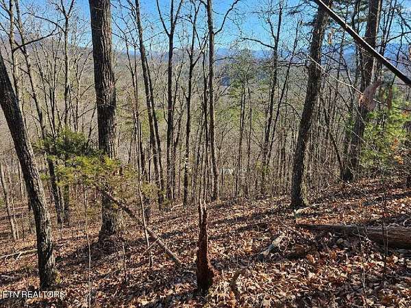 20.7 Acres of Land for Sale in Sevierville, Tennessee