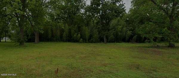 1.24 Acres of Residential Land for Sale in Clinton, North Carolina