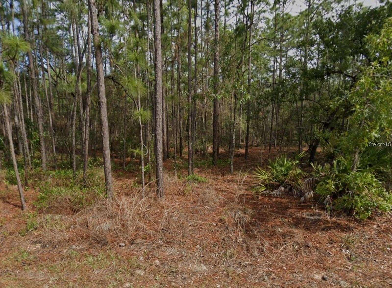 0.3 Acres of Residential Land for Sale in Homosassa, Florida