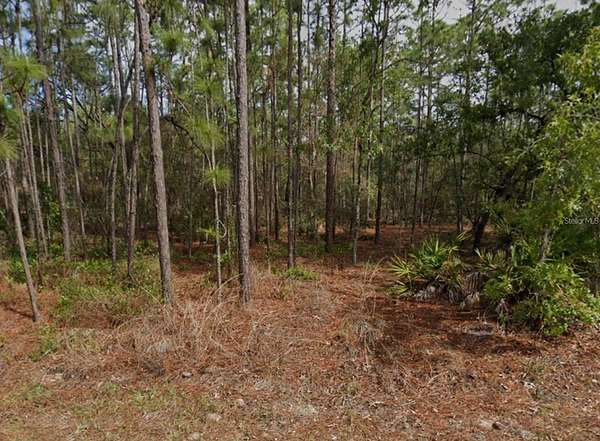 0.3 Acres of Residential Land for Sale in Homosassa, Florida