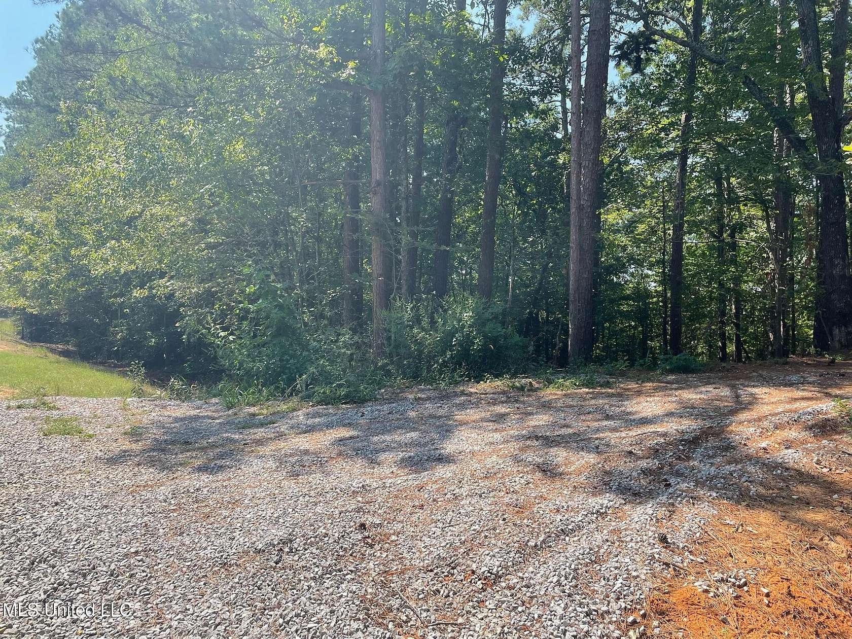 70 Acres of Recreational Land for Sale in New Albany, Mississippi