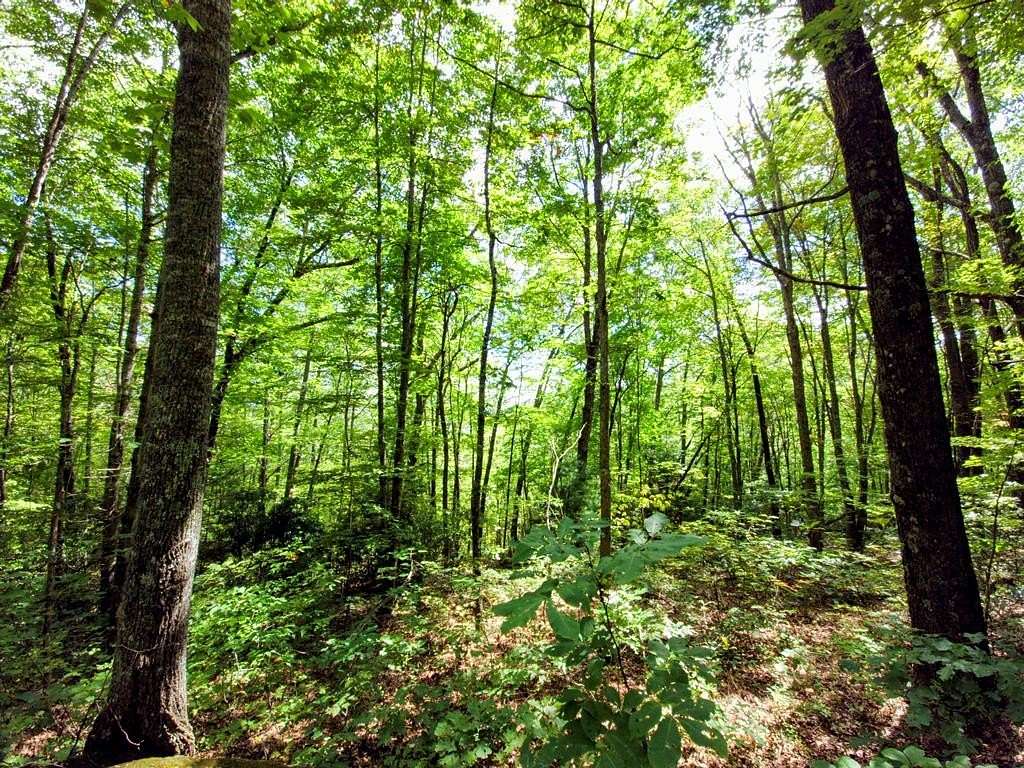 1.1 Acres of Residential Land for Sale in Cullowhee, North Carolina