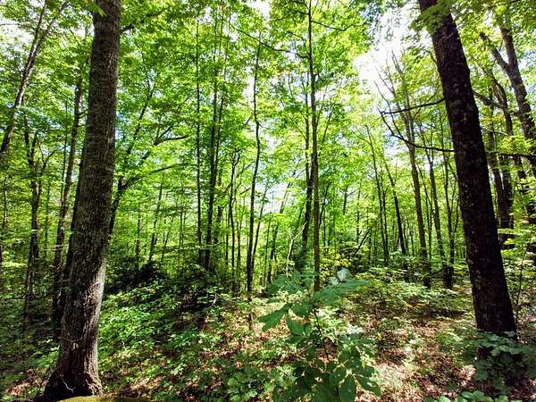 1.1 Acres of Residential Land for Sale in Cullowhee, North Carolina