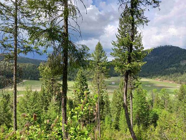 20 Acres of Recreational Land for Sale in Gifford, Washington