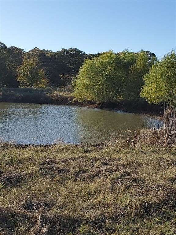 27 Acres of Agricultural Land for Sale in Ivanhoe, Texas