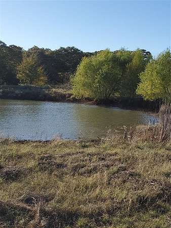 27 Acres of Agricultural Land for Sale in Ivanhoe, Texas