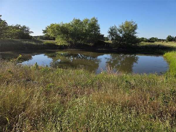 27 Acres of Agricultural Land for Sale in Ivanhoe, Texas