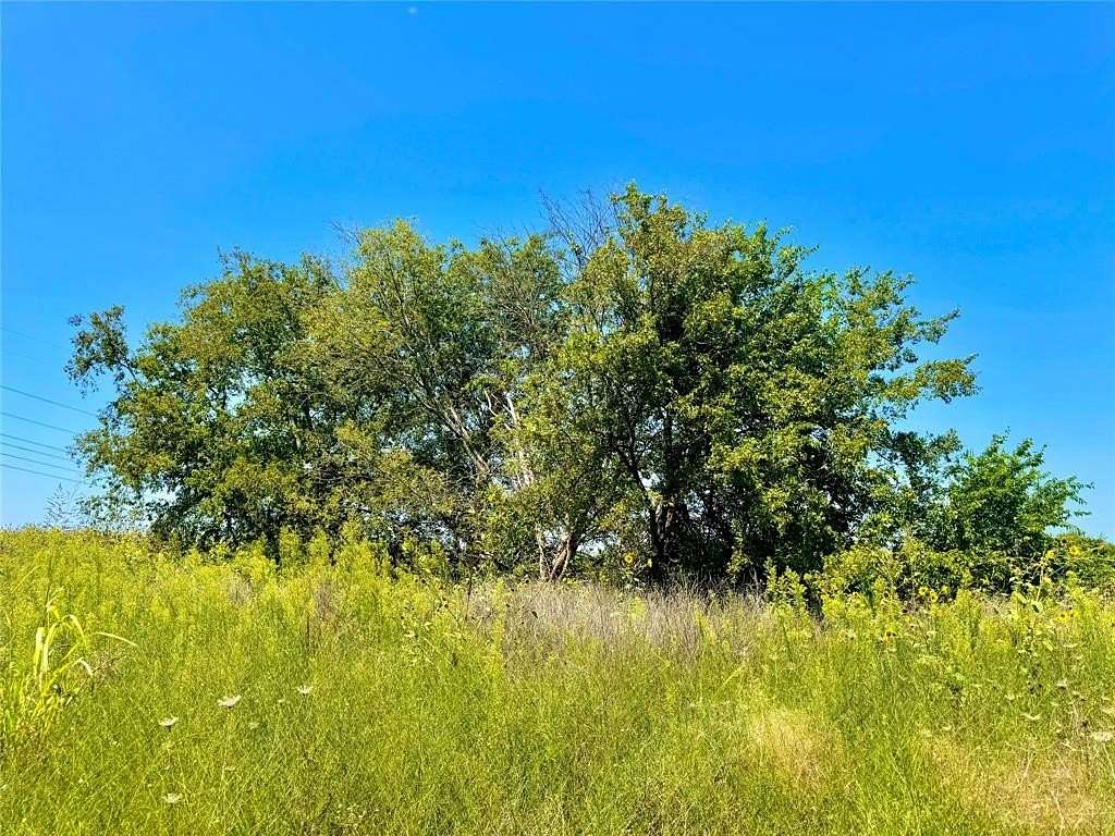 1.55 Acres of Residential Land for Sale in Nevada, Texas