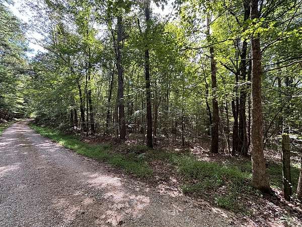 28.9 Acres of Recreational Land for Sale in Oxford, Mississippi