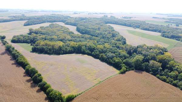 160 Acres of Land for Sale in Thomson, Illinois