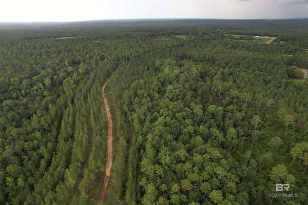 449 Acres of Recreational Land for Sale in Robertsdale, Alabama
