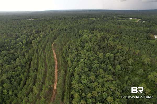 449 Acres of Recreational & Residential Land for Sale in Robertsdale, Alabama