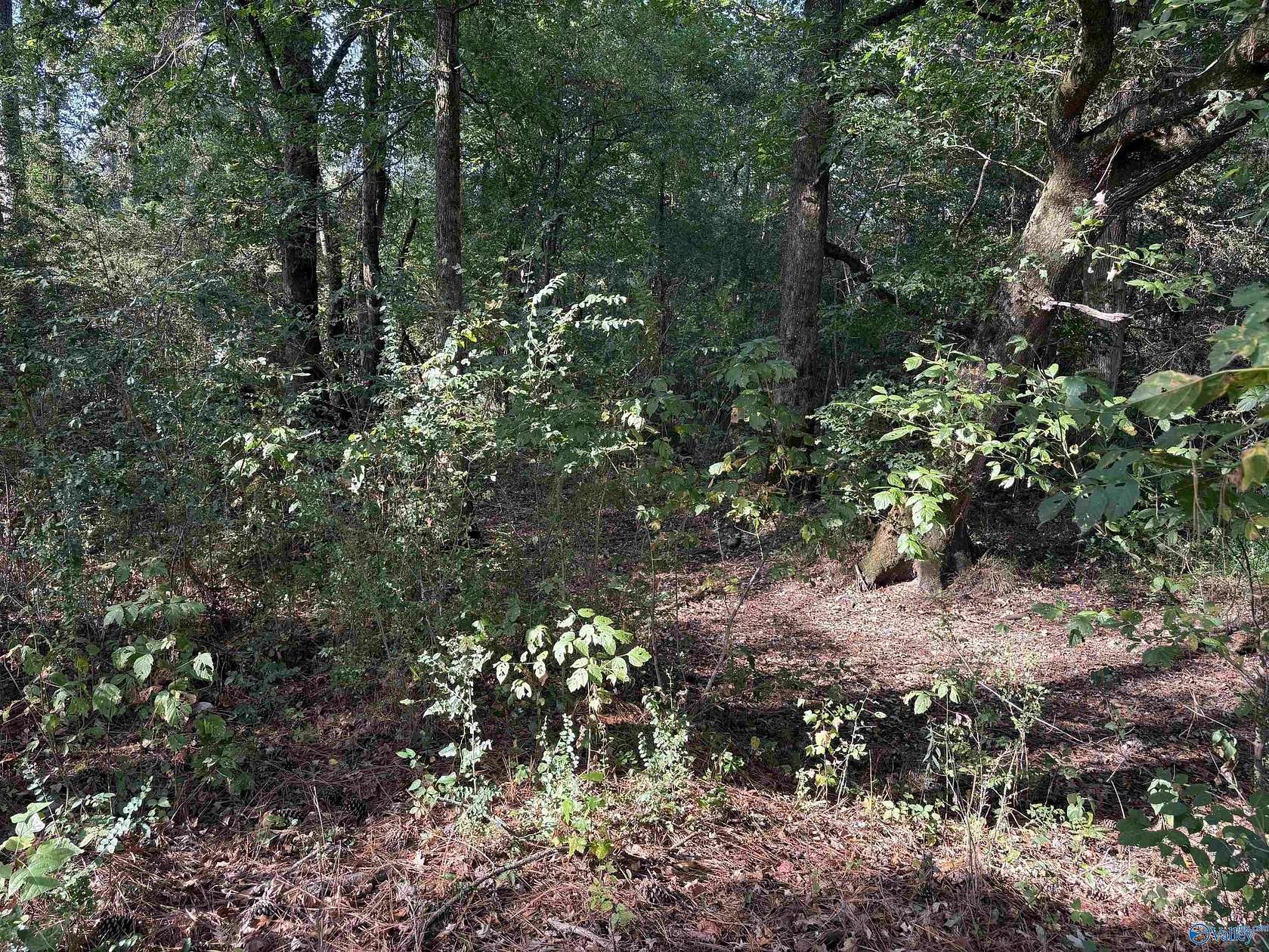 2 Acres of Residential Land for Sale in Glencoe, Alabama