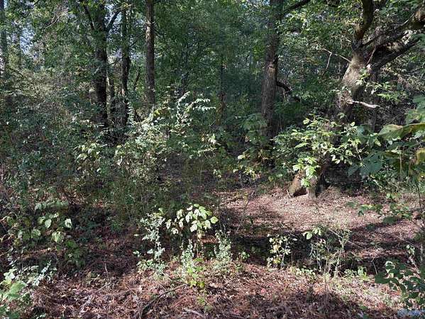 2 Acres of Residential Land for Sale in Glencoe, Alabama