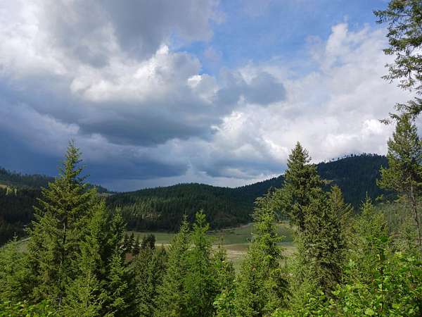 20 Acres of Recreational Land for Sale in Gifford, Washington
