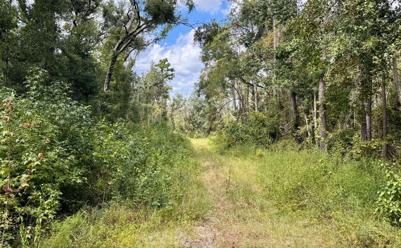 0.7 Acres of Residential Land for Sale in Jasper, Florida