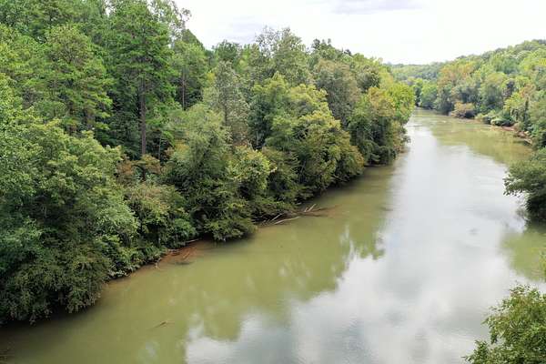 24.2 Acres of Recreational Land for Sale in Rutherfordton, North Carolina