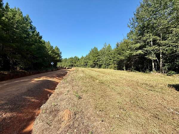 4 Acres of Recreational Land for Sale in Elko, Georgia