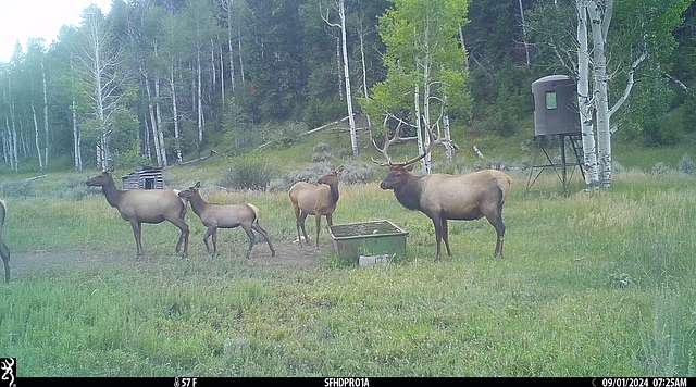 362 Acres of Recreational Land for Sale in Rangely, Colorado