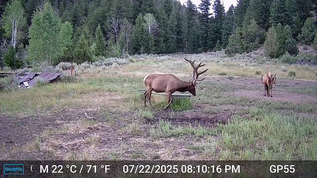 362 Acres of Recreational Land for Sale in Rangely, Colorado