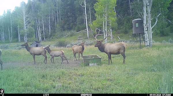 362 Acres of Recreational Land for Sale in Rangely, Colorado