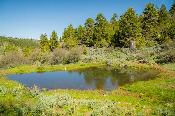 362 Acres of Recreational Land for Sale in Rangely, Colorado