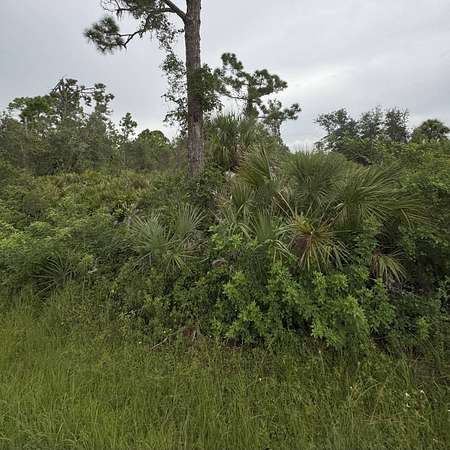 0.23 Acres of Residential Land for Sale in Port Charlotte, Florida
