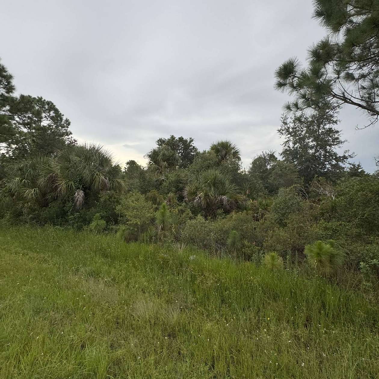 0.23 Acres of Residential Land for Sale in Port Charlotte, Florida