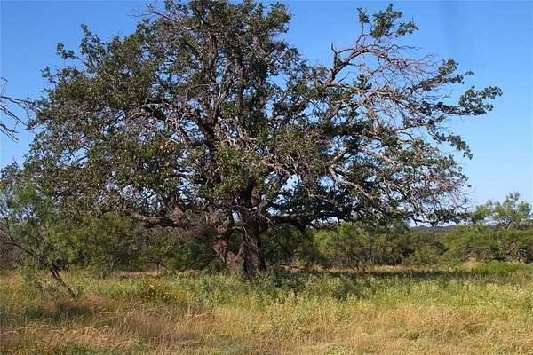 10.7 Acres of Recreational Land & Farm for Sale in Melvin, Texas