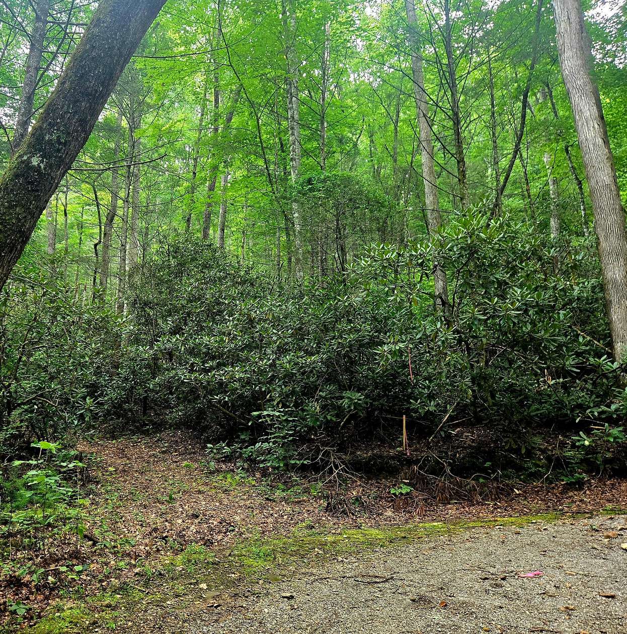 2 Acres of Residential Land for Sale in Tellico Plains, Tennessee