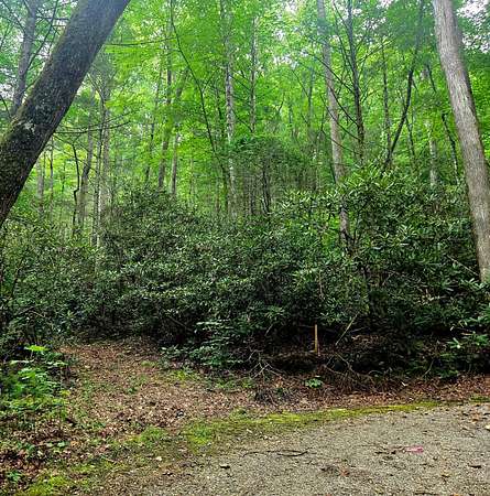 2 Acres of Land for Sale in Tellico Plains, Tennessee