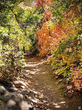 24.1 Acres of Recreational & Residential Land for Sale in Ogden, Utah