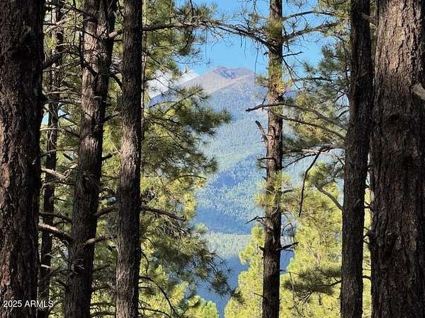 2.44 Acres of Residential Land for Sale in Flagstaff, Arizona