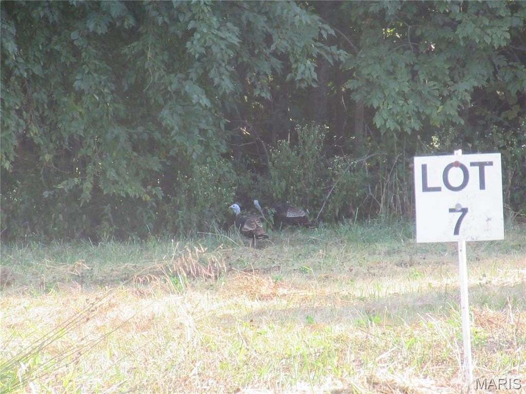 4 Acres of Residential Land for Sale in Hawk Point, Missouri