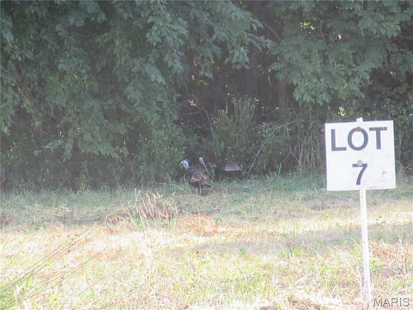 4 Acres of Residential Land for Sale in Hawk Point, Missouri