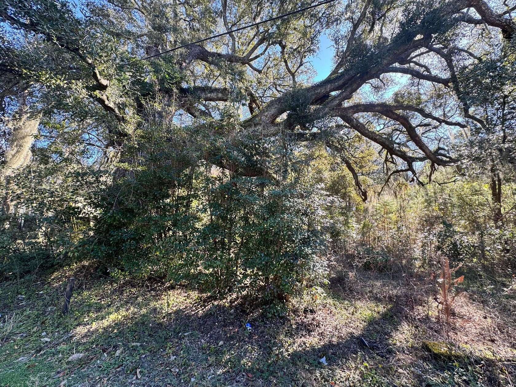 1.88 Acres of Residential Land for Sale in Summerville, South Carolina