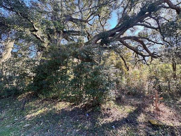 1.88 Acres of Residential Land for Sale in Summerville, South Carolina