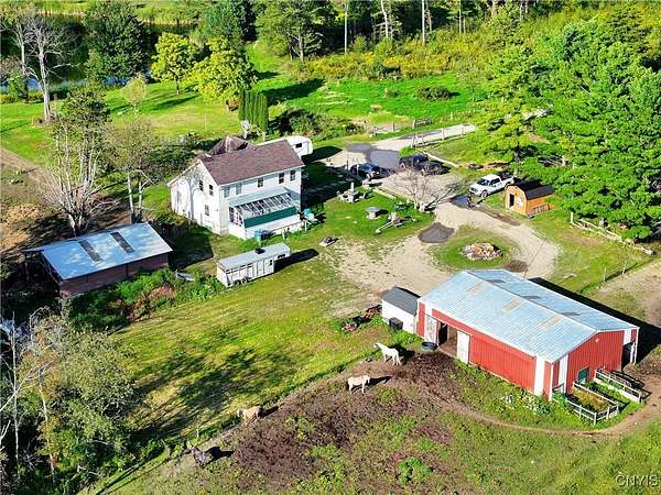 31.9 Acres of Land with Home for Sale in Summerhill Town, New York