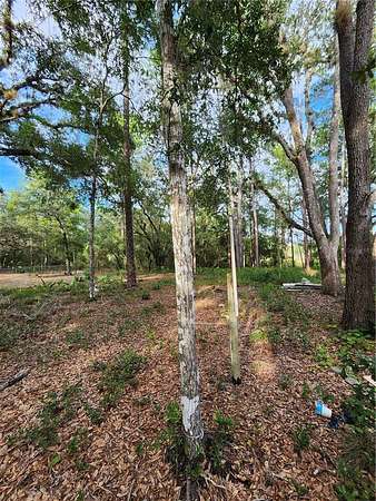 5 Acres of Land for Sale in Silver Springs, Florida