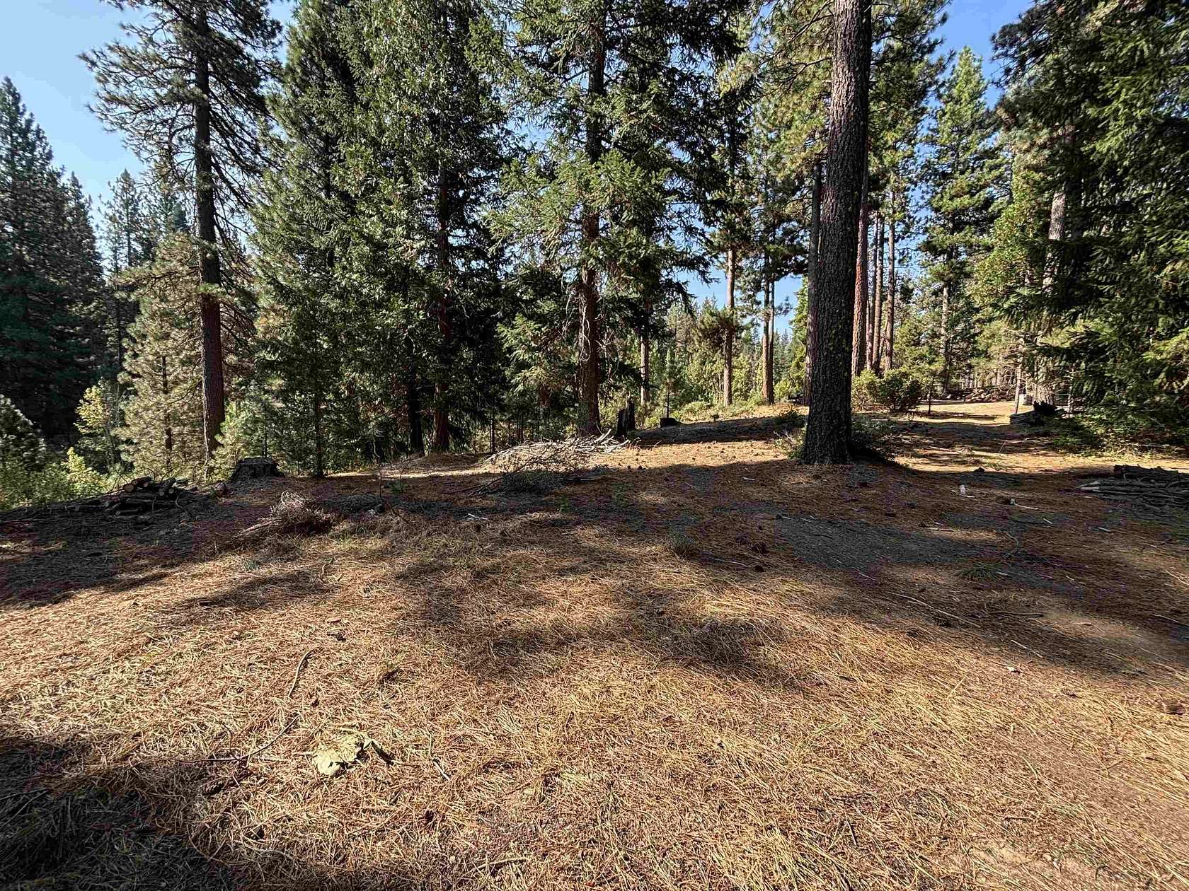 0.51 Acres of Residential Land for Sale in Blairsden, California